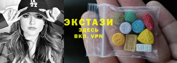 шишки Лабытнанги