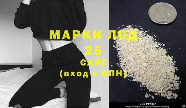 винт Анива