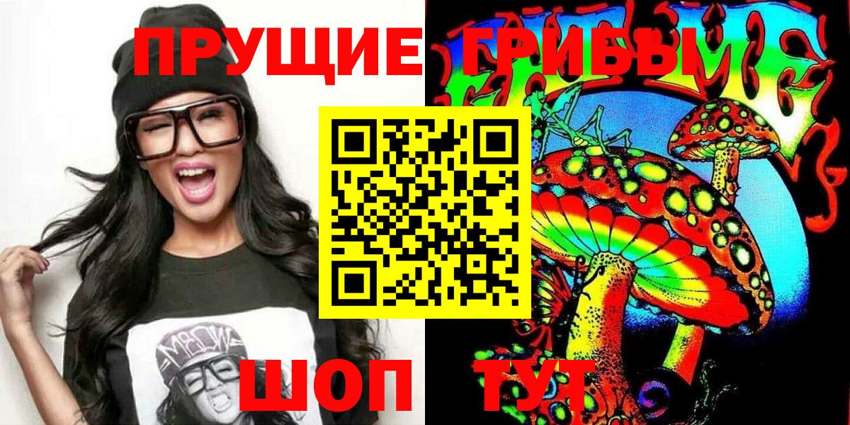 Псилоцибиновые грибы Psilocybe Троицк