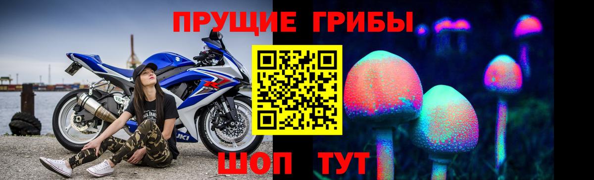 Троицк  Галлюциногенные грибы Psilocybe  Вход с VPN 